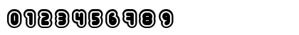 22 03 Regular Numeric Preview