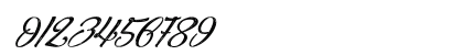 Agua de Jamaica Italic Preview
