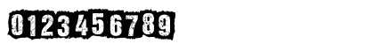 ALL AGES Regular Numeric Preview