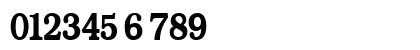 Ananda Bold Numeric Preview