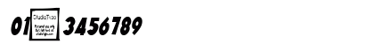 Angella Narrow Italic Numeric Preview