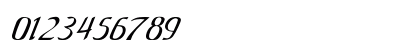 Anish Bold Italic Preview