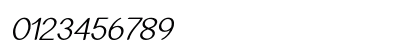 Arcon Bold Italic Preview