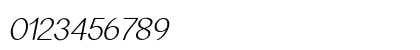 Arcon Italic Numeric Preview
