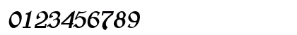 BearButteT BoldItalic Numeric Preview