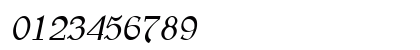 BearButteT Italic Numeric Preview