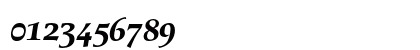Berndal LT Std Regular BoldItalic Numeric Preview