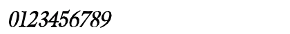 Berylium bold Italic Numeric Preview