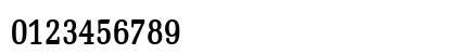 Bid Roman-Condensed Bold Numeric Preview