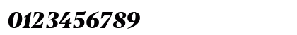 Bluu Suuperstar Black Italic Numeric Preview