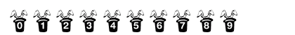 KR Magic Rabbit Regular Preview
