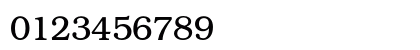 BOOKmanOpti Regular Numeric Preview