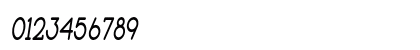 Book Reader Condensed Italic Preview