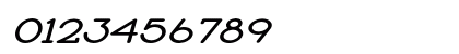 Book Reader Expanded Italic Preview