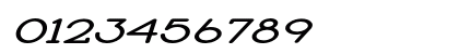 Book Reader Extra-expanded Italic Preview