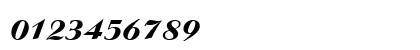 Boyarsky Bold Italic Numeric Preview