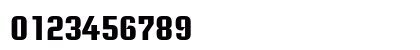 Briem Akademi Std Bold Numeric Preview