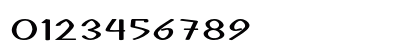 Burpal Extra-expanded Bold Numeric Preview