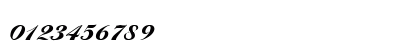 C_Hispid Normal Numeric Preview
