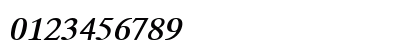 C_Times_Duch Italic Numeric Preview