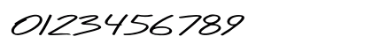 Caraban Extra-expanded Italic Numeric Preview
