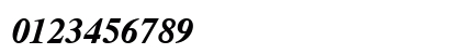 CG Times Bold Italic Numeric Preview