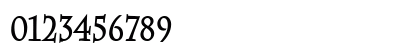 Chaz-Condensed Bold Numeric Preview