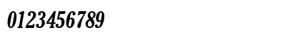 CheltenhamCond Bold Italic Numeric Preview