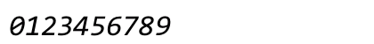 CodeNewRoman Nerd Font Italic Preview