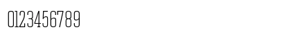 Constructa Thin Numeric Preview