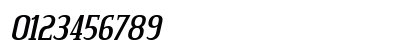 Credit Valley Bold Italic Numeric Preview