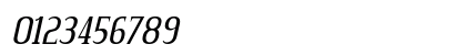Credit Valley Italic Numeric Preview