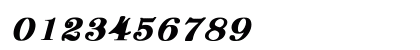 Denver Bold Italic Numeric Preview