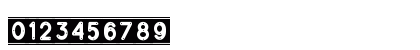 Diverplate Regular Numeric Preview