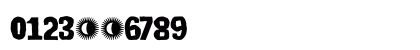 DK Lunisolar Regular Numeric Preview