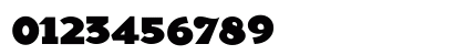 Dogma Medium Preview