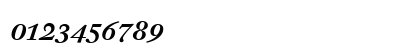 DTL Fleischmann Medium Italic Preview