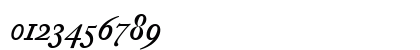DTL Fleischmann Medium Italic Numeric Preview