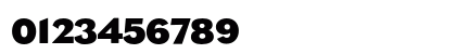 Eagle Bold Preview
