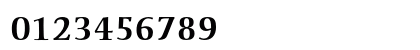 Ellington MT Std Bold Numeric Preview