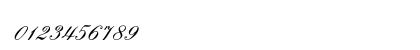 EmbassyOpti Regular Numeric Preview