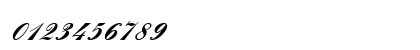 EnglischeSchT Bold Numeric Preview