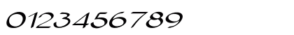 Entreon Extra-expanded Italic Numeric Preview
