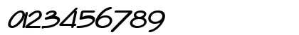 Enview Bold Italic Preview