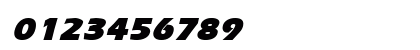 Ergoe Mild Black Italic Preview