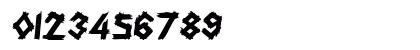 Expiry Oblique Numeric Preview