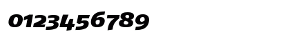 FagoEx Black Italic Preview