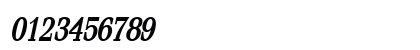 Feline-Condensed Bold Italic Numeric Preview