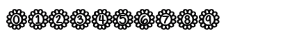 FlowerPower Medium Preview