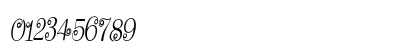 Flying Dahlia Condensed Italic Numeric Preview